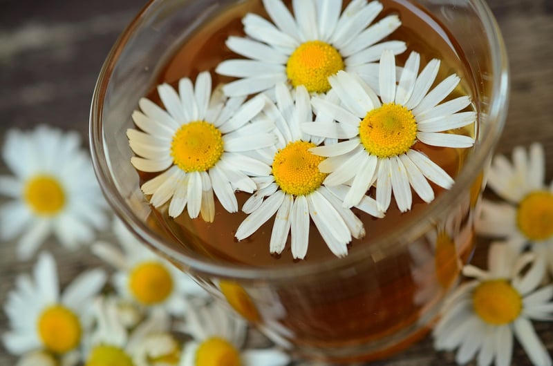 Chamomile Herbal Tea