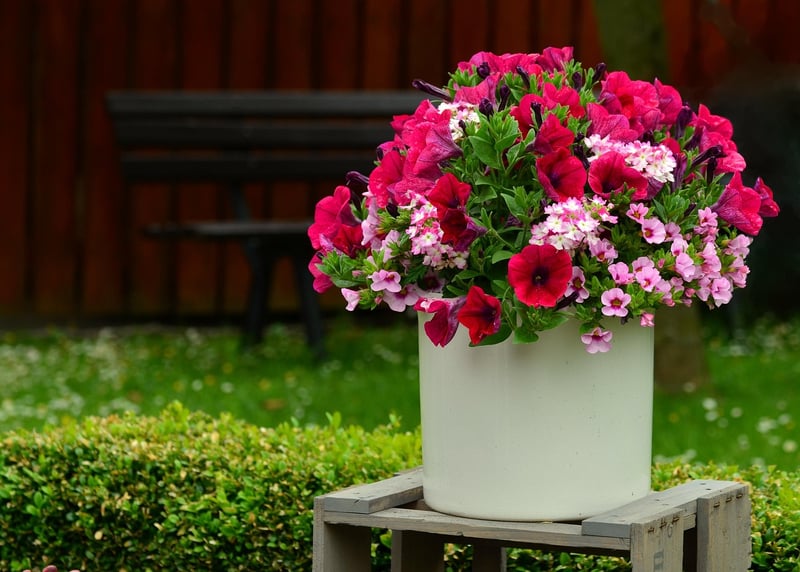 Cascading Flower Display